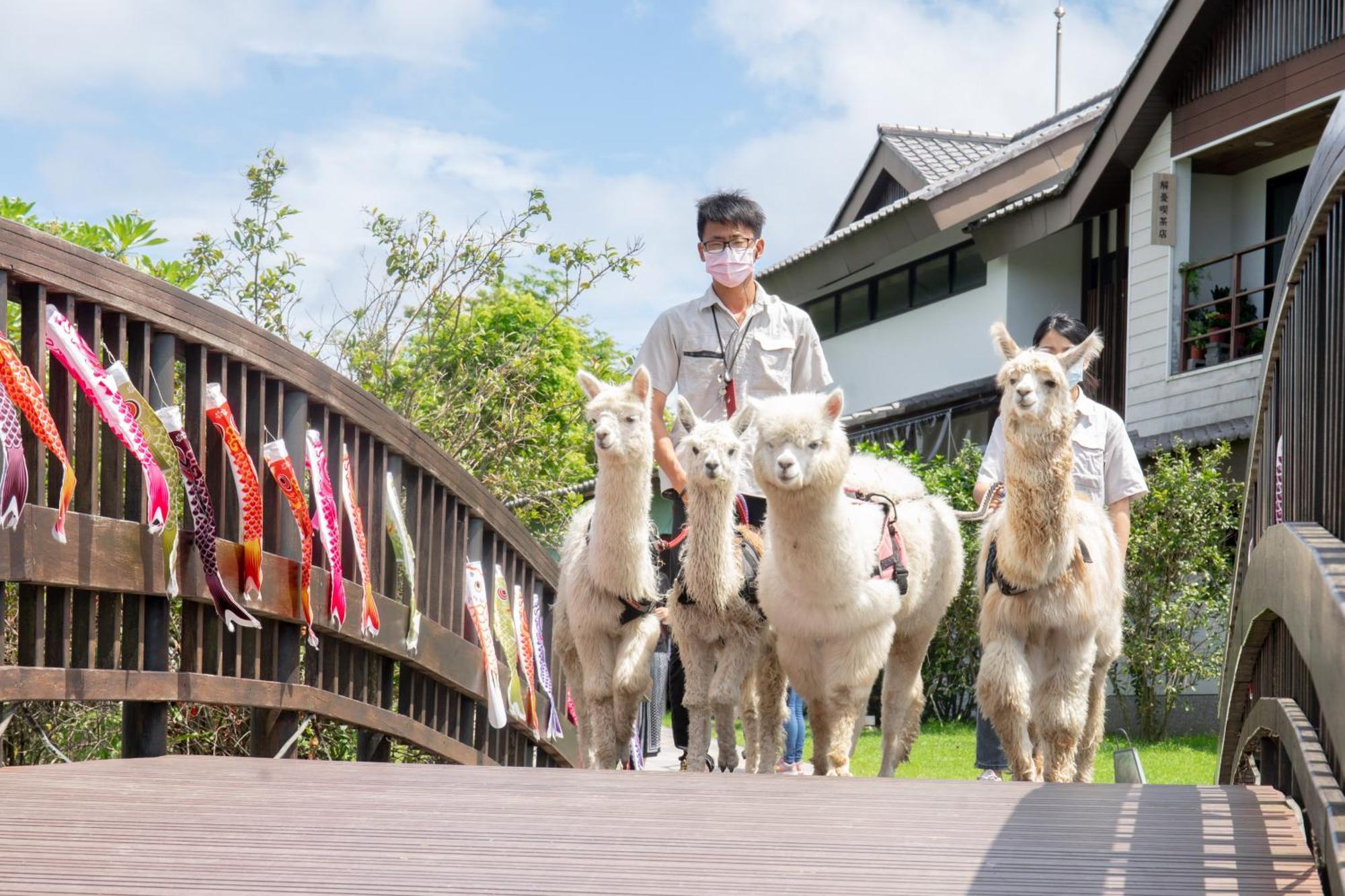 Dancewoods Hotel Wujie Ngoại thất bức ảnh